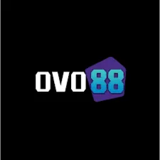 OVO88 - Aplikasi Detak Jantung untuk Kesehatan Anda